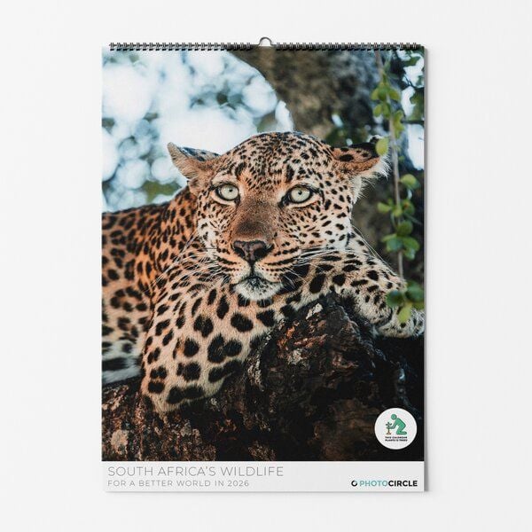 Photocircle Südafrikas Wildnis Kalender 2026 mit Tierfotografie von Lea Milde von Photocircle