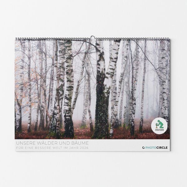 Photocircle Wald und Bäume Kalender 2026 mit Fotokunst von Heiko Gerlicher aus den Wäldern Deutschlands von Photocircle