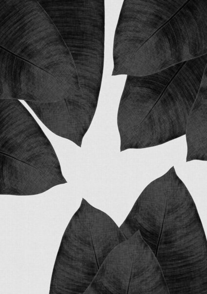 Photocircle Wandbild / Kunstdruck / Poster / Leinwand - Banana Leaf Black & White I von Photocircle