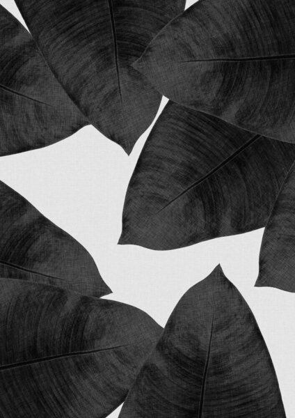 Photocircle Wandbild / Kunstdruck / Poster / Leinwand - Banana Leaf Black & White II von Photocircle