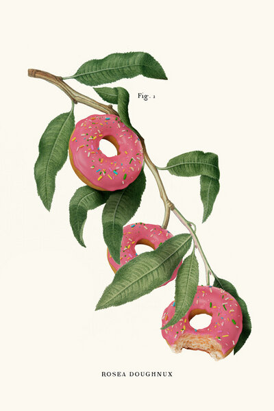 Photocircle Wandbild / Kunstdruck / Poster / Leinwand - Donut Plant von Photocircle
