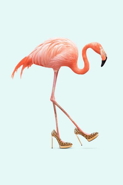 Photocircle Wandbild / Kunstdruck / Poster / Leinwand - Fancy Flamingo von Photocircle
