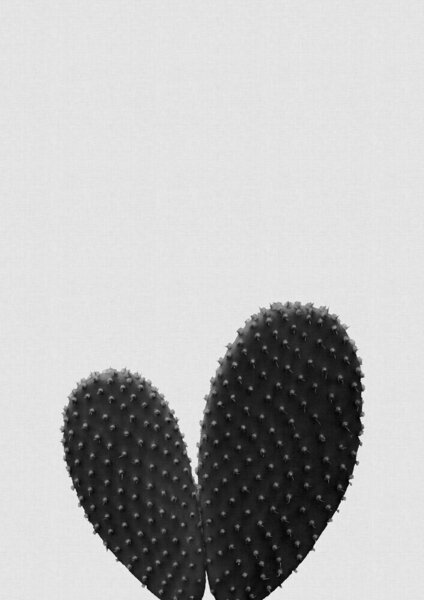 Photocircle Wandbild / Kunstdruck / Poster / Leinwand - Heart Cactus Black & White von Photocircle