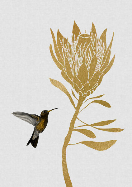 Photocircle Wandbild / Kunstdruck / Poster / Leinwand - Hummingbird & Flower I von Photocircle
