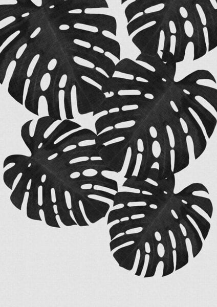 Photocircle Wandbild / Kunstdruck / Poster / Leinwand - Monstera Leaf Black & White I von Photocircle