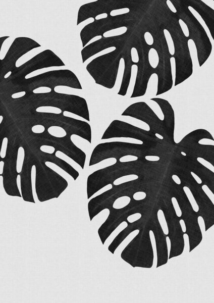 Photocircle Wandbild / Kunstdruck / Poster / Leinwand - Monstera Leaf Black & White III von Photocircle