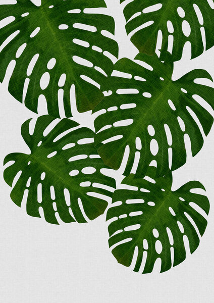 Photocircle Wandbild / Kunstdruck / Poster / Leinwand - Monstera Leaf I von Photocircle
