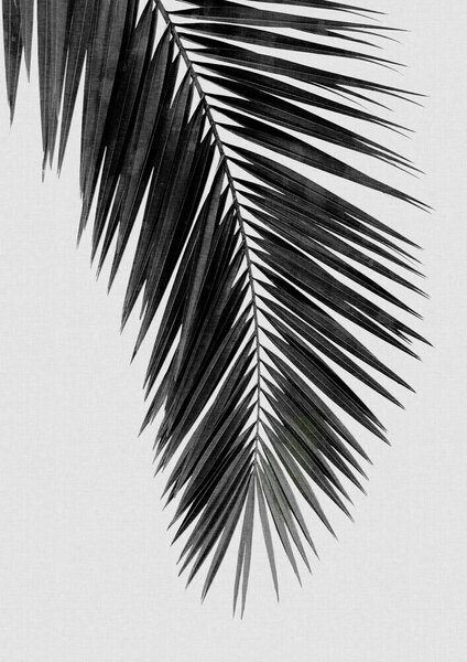 Photocircle Wandbild / Kunstdruck / Poster / Leinwand - Palm Leaf Black & White I von Photocircle