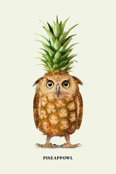 Photocircle Wandbild / Kunstdruck / Poster / Leinwand - Pineappowl von Photocircle