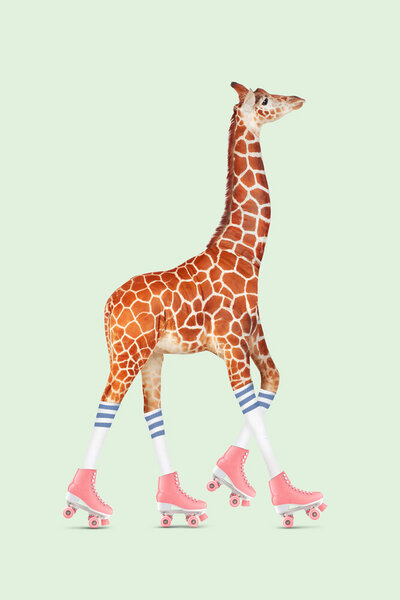 Photocircle Wandbild / Kunstdruck / Poster / Leinwand - Rollschuh Giraffe von Photocircle
