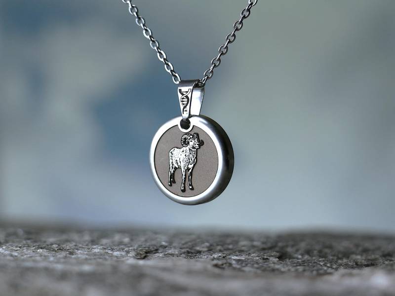 Dickhornschaf | Widder Kettenanhänger Für Wildtierfans, Edelstahl, Natur Inspiriert, Geschenkidee Naturliebhaber Dickhornschaf | Widder Kettenanhänger Für Wildtierfans, Edelstahl, Natur Inspiriert, Geschenkidee Naturliebhaber von Photonenwerkstatt