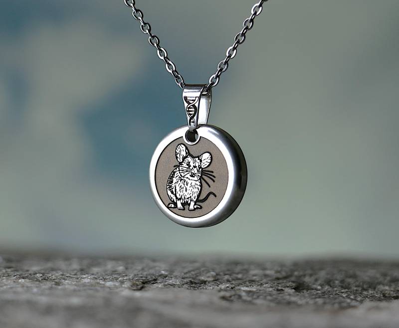 Hausmaus Kettenanhänger Für Wildtierfans, Edelstahl, Natur Inspiriert, Geschenkidee Naturliebhaber Hausmaus Kettenanhänger Für Wildtierfans, Edelstahl, Natur Inspiriert, Geschenkidee Naturliebhaber von Photonenwerkstatt