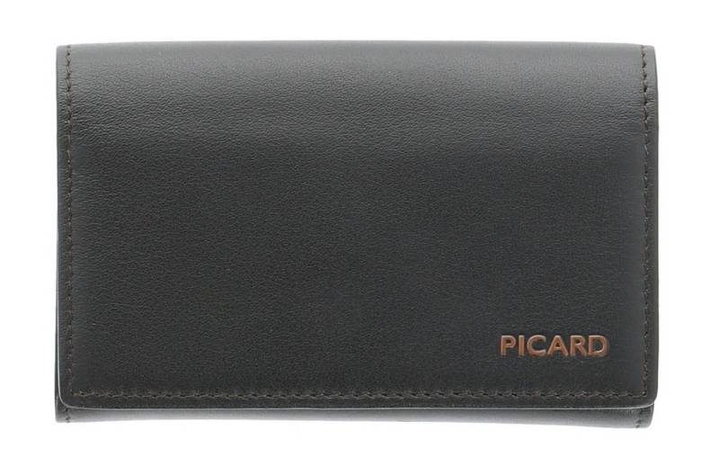 Picard Kartenetui Franz 1, mit RFID-Blocker Schutz von Picard