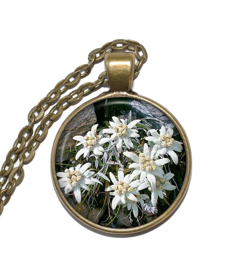 Edelweiss Halskette/Schlüsselring, Blumenhalskette, Bergblume, Leontopodium Alpinum, Kunstanhänger, Glasanhänger, Handgemachter Schmuck Edelweiss Halskette/Schlüsselring, Blumenhalskette, Bergblume, Leontopodium Alpinum, Kunstanhänger, Glasanhänger, Handgemachter Schmuck von PicturesqueAtelier