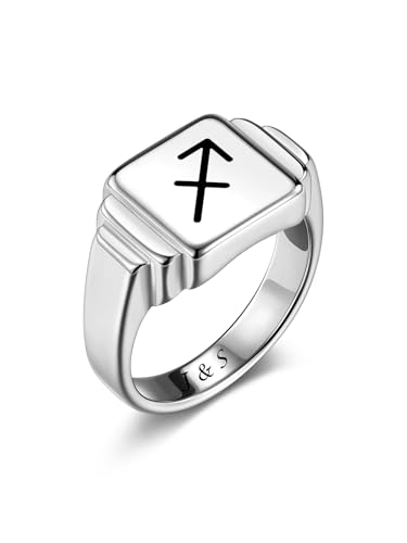 PiercingJak Personalisierte Siegelring mit Sternzeichen Ttierkreiszeichen Name Datum Gravur Signet Ringe Edelstahl Band Ringe für Männer Frauen, Silber von PiercingJak