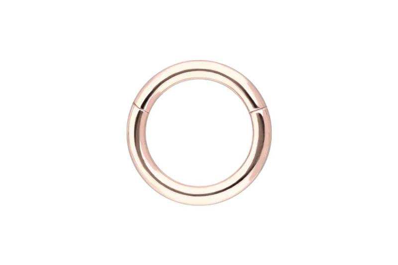 14/18 Karat Gold Segmentring Clicker von Piercingline