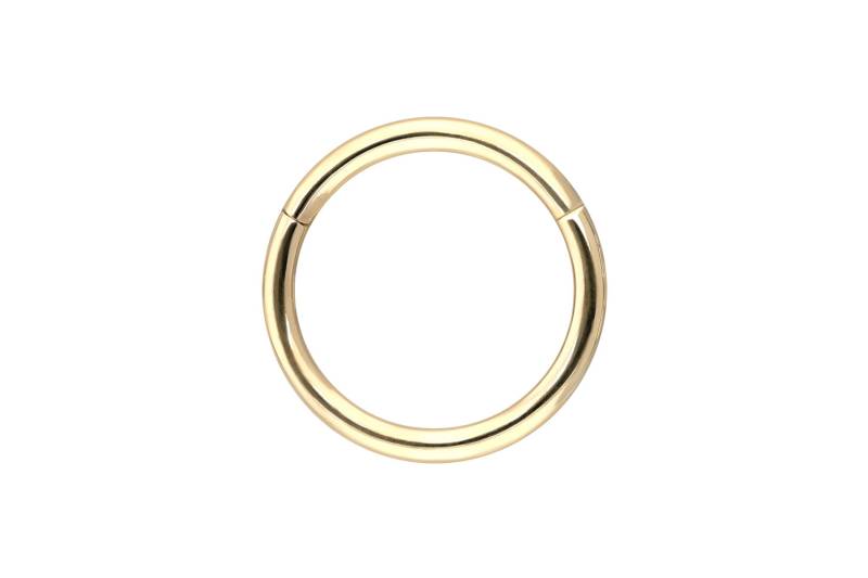 14/18 Karat Gold Segmentring Clicker von Piercingline