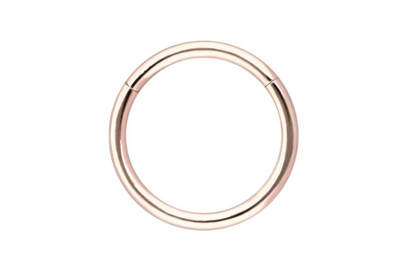 14/18 Karat Gold Segmentring Clicker von Piercingline