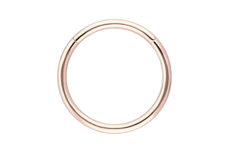 14/18 Karat Gold Segmentring Clicker von Piercingline