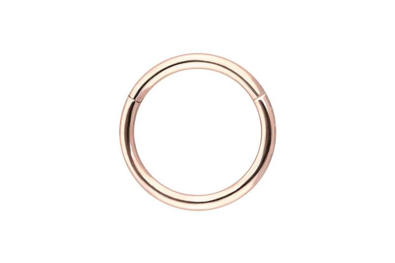 14/18 Karat Gold Segmentring Clicker von Piercingline
