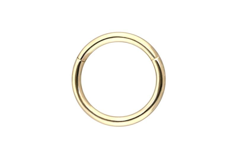 14/18 Karat Gold Segmentring Clicker von Piercingline