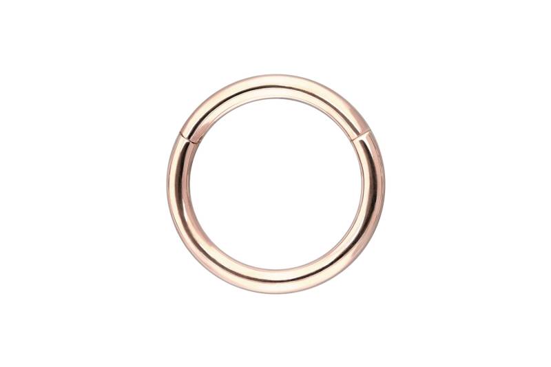 14/18 Karat Gold Segmentring Clicker von Piercingline