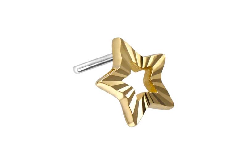 14 Karat Gold Aufsatz mit Titan Push Pin STERN von Piercingline