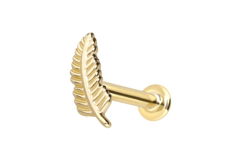14 Karat Gold Labret mit Innengewinde FEDER von Piercingline