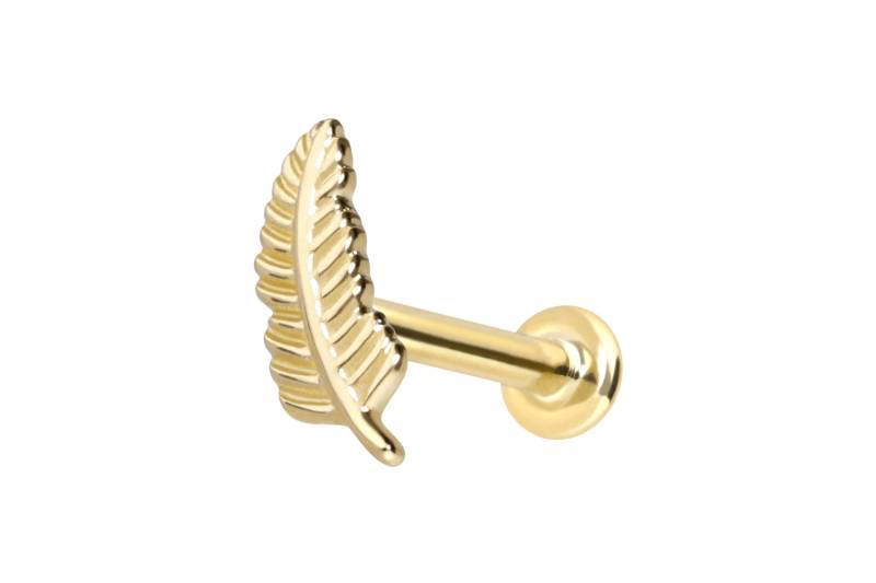 14 Karat Gold Labret mit Innengewinde FEDER von Piercingline
