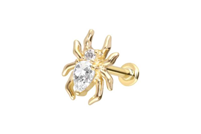 14 Karat Gold Labret mit Push Fit MOISSANIT-SPINNE von Piercingline