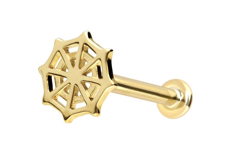 14 Karat Gold Labret mit Push Fit SPINNENNETZ von Piercingline