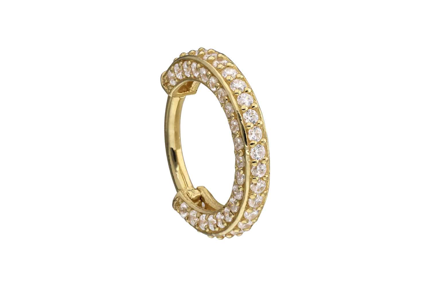 18 Karat Gold Segmentring Clicker MOISSANIT-RAND 18 Karat Gold Segmentring Clicker MOISSANIT-RAND von Piercingline