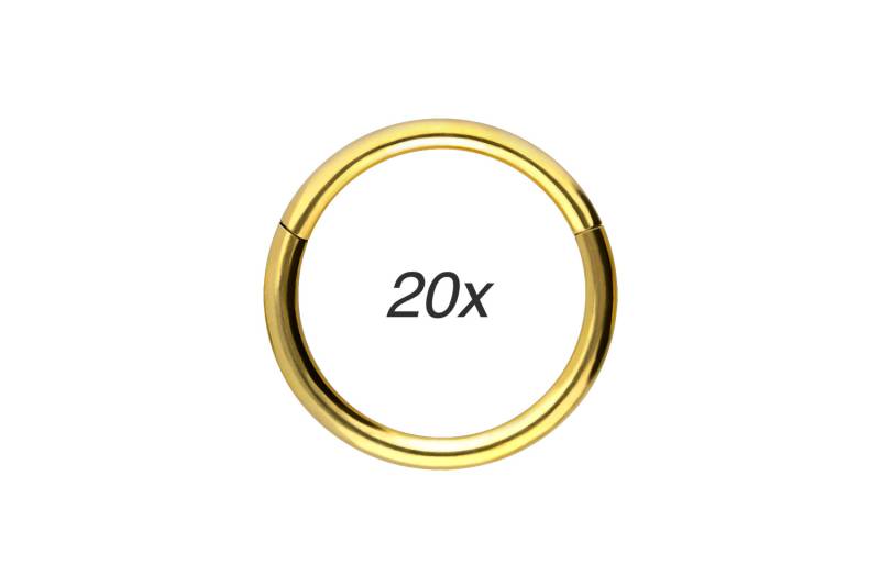 SET Chirurgenstahl Segmentring Clicker von Piercingline