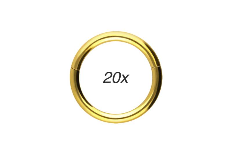 SET Titan Segmentring Clicker von Piercingline