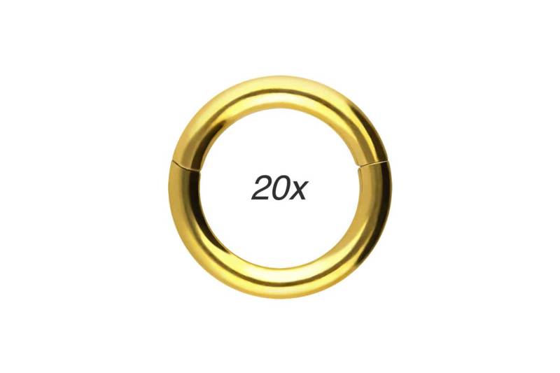 SET Titan Segmentring Clicker von Piercingline