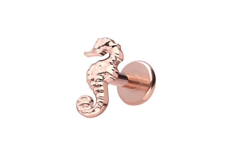 Titan Labret mit Push Fit SEEPFERDCHEN von Piercingline
