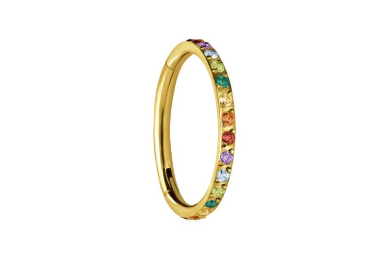 Titan Segmentring Clicker EINGEFASSTE BUNTE KRISTALLE von Piercingline