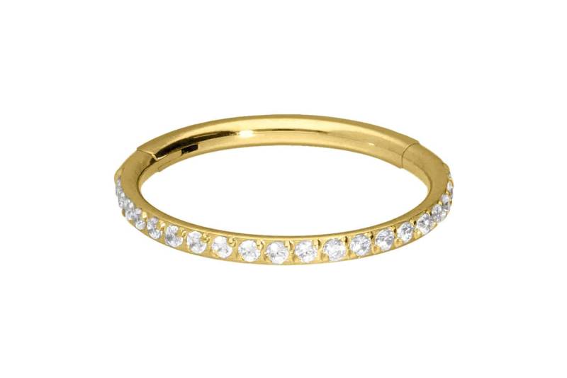 Titan Segmentring Clicker EINGEFASSTE KRISTALLE von Piercingline