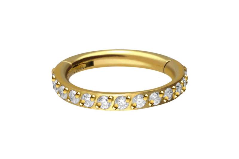 Titan Segmentring Clicker EINGEFASSTE KRISTALLE von Piercingline