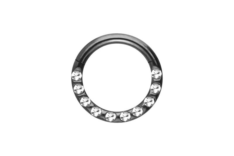 Titan Segmentring Clicker KRISTALLE + EPOXY von Piercingline