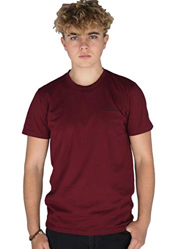 Pierre Cardin Mens Neue Saison unbedingt Classic Fit Crew Neck T-Shirt (2XL, Burgundy) von Pierre Cardin