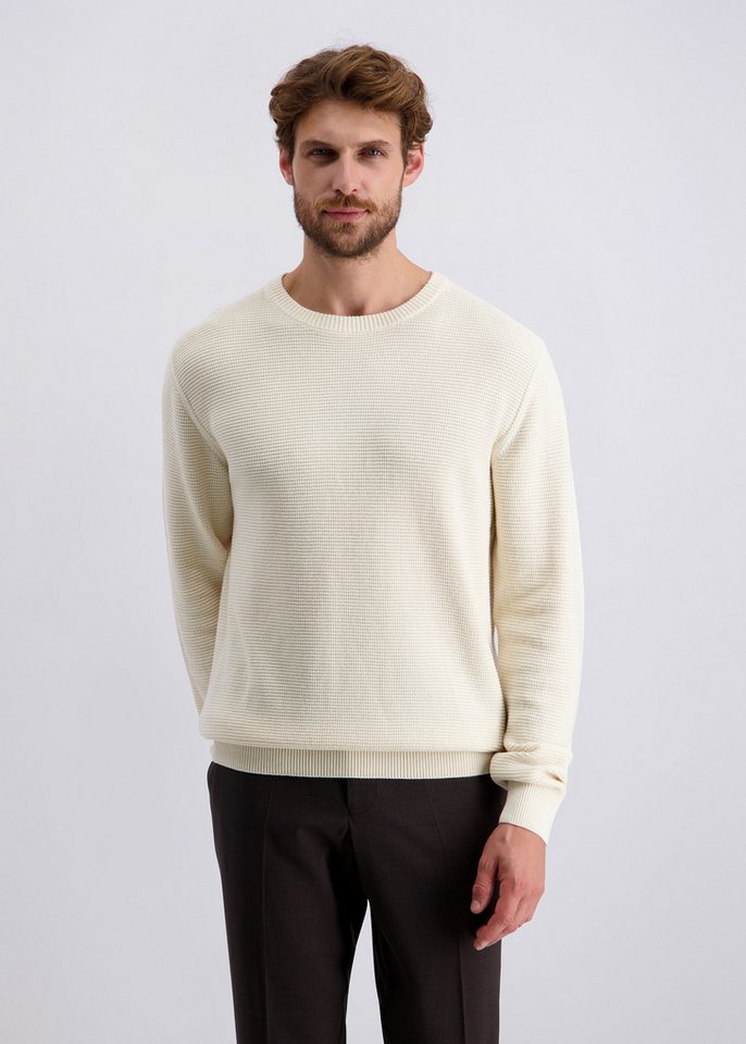 Pierre Cardin Rundhalspullover mit Rundhalsausschnitt von Pierre Cardin