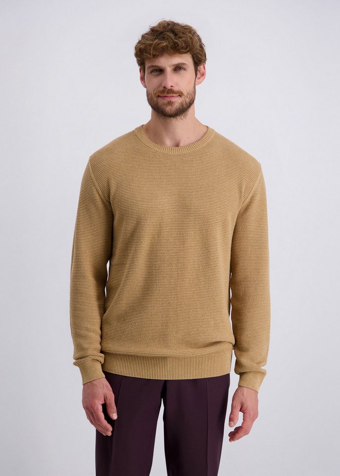 Pierre Cardin Rundhalspullover mit Rundhalsausschnitt von Pierre Cardin