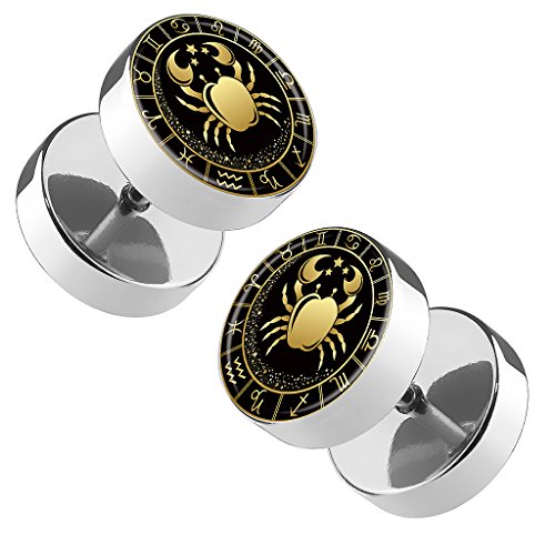 Piersando Ohrringe Fake Ohr Plug Flesh Tunnel Piercing Ohrstecker Stecker Stab Runde Platte mit Sternzeichen Motiv Tierkreiszeichen Silber Gold Krebs von Piersando