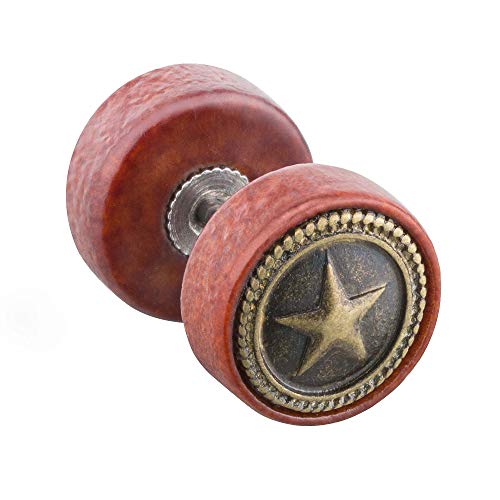 Piersando Unisex Ohrstecker Chirurgenstahl mit runder Platte aus Holz Doppel Kreis Ohrringe Fake Ohr Plug Piercing Braun mit Stern von Piersando