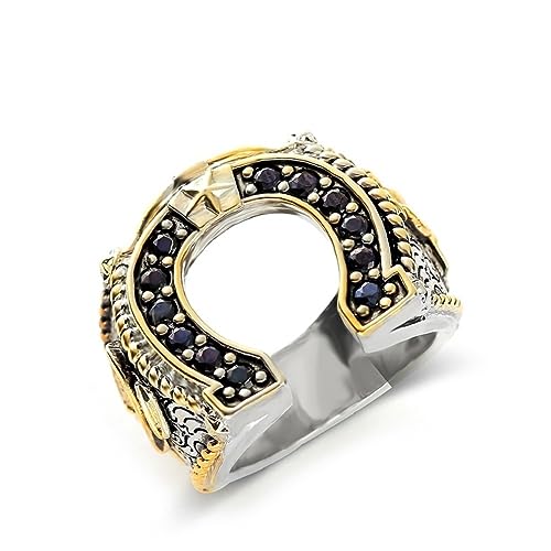 Glückshufeisen Ring für Männer, Hip Hop Hufeisenring, Western-Cowboy-Biker-Ring, Punk Rock Hufeisen Ring, Gotisch Jahrgang U-förmiger Hufeisenring Cowboy-Schmuck Geschenk für Männer Jungen (18.9) von PikaLF