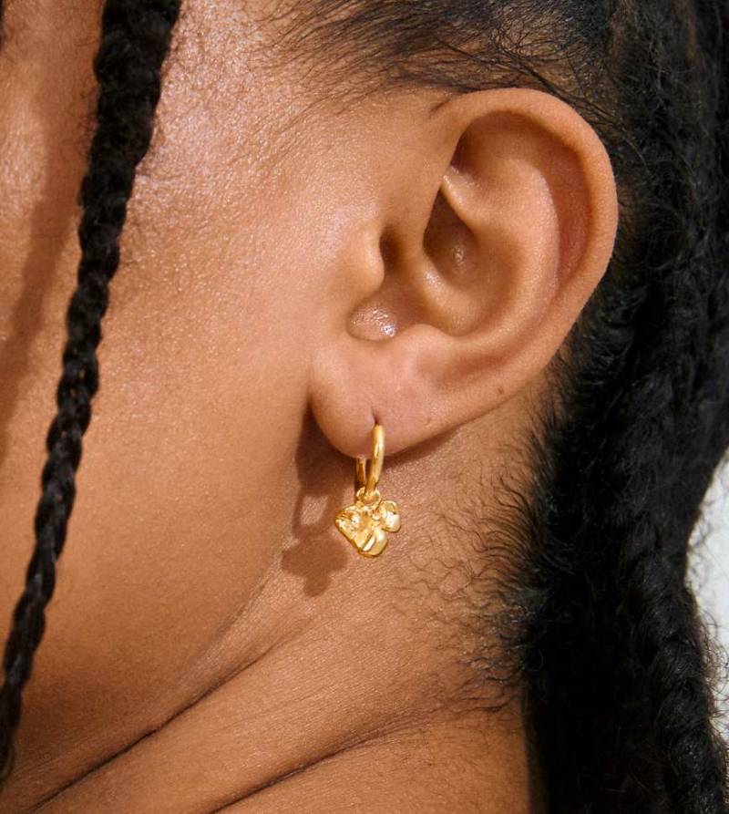 Pilgrim - Luis - Vergoldete Ohrringe-Goldfarben von Pilgrim