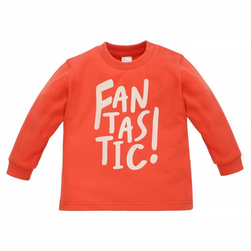 Pinokio Baby - Jungen Long Sleeve Welted Arms Blouse, Orange Lovely Day, 104 EU von Pinokio