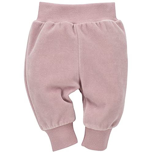 Pinokio Baby Pants Hello, Velour, pink, Girls Gr. 56-86 (74) von Pinokio