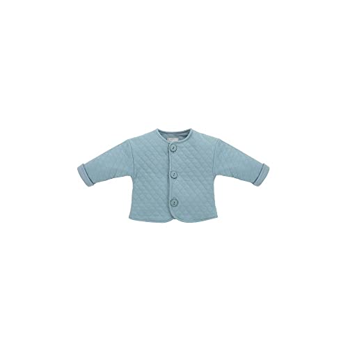 Pinokio Unisex Baby Pinokio Baby Jacket Slow Life, 70% Cotton, 30% Polyester, Blue, Unisex Gr. 62-86 Sweatshirt, Turquoise, 80 EU von Pinokio